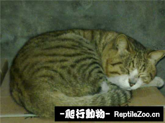 001625c18yi5qca44qexv5.jpg
