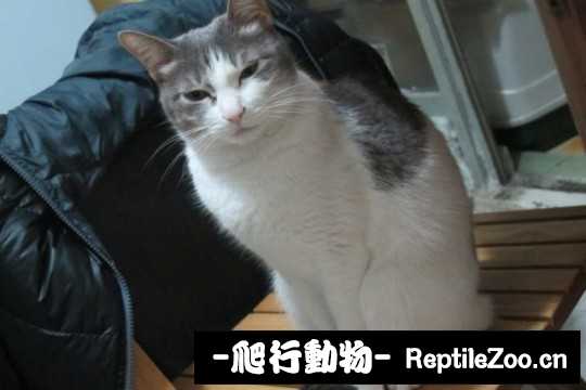 001736i1ihpfgo1p7s21u1.jpg