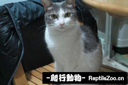 001736njdj04fhm6d8hejj.jpg