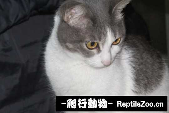 001737couxzjuxuauuejub.jpg