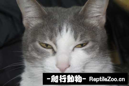 001738i0rsoog06lrfoooo.jpg