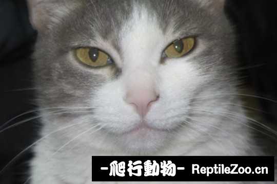 001738rz3kwjv3fkax3gmg.jpg
