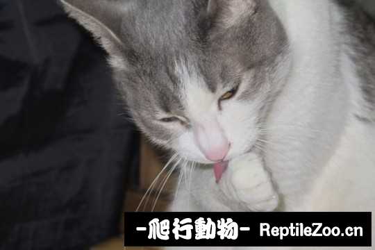 001739fsjjizyuyng4u4js.jpg