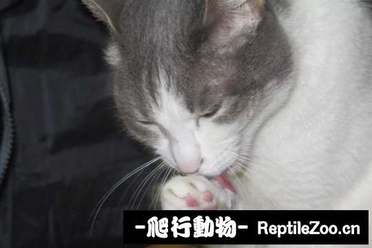 001739xvtqg55sqztihg5s.jpg