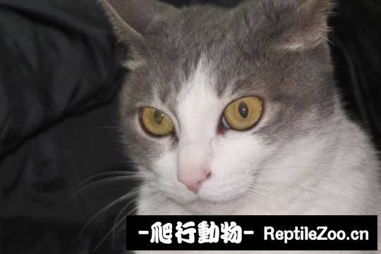 001739yuowkz1ejrlkiweo.jpg