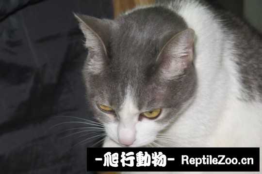 001741ccokwoo5jetztoe8.jpg