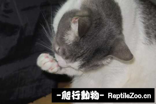 001741gnwd8jjw0dfddvvg.jpg