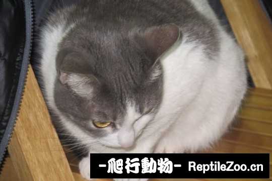 001742qzgj52nrrmr3rdch.jpg