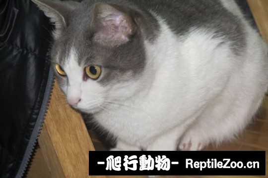 001742u23yuuvflknrxvck.jpg