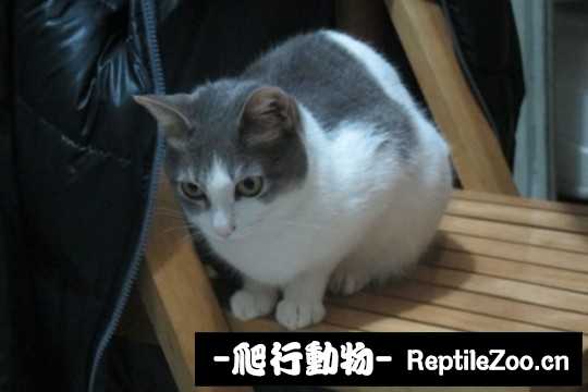 001742w4tbg6pbgfhn68af.jpg