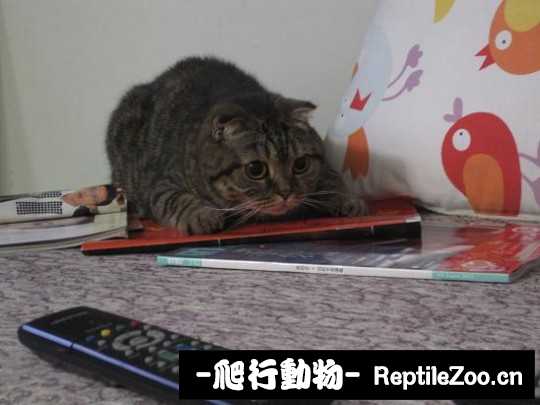 001800vlp2s3sys2p9azki.jpg