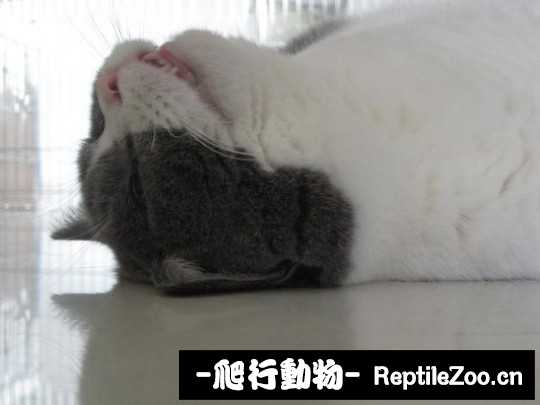 001801m3lufzqmdelqnz6u.jpg