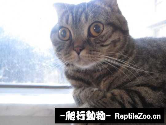 001801zu7dut7n9ezmd6zn.jpg