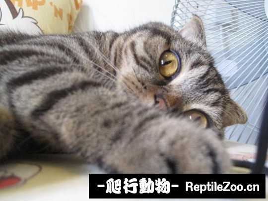 001802aunu7ttnnkn7aebk.jpg
