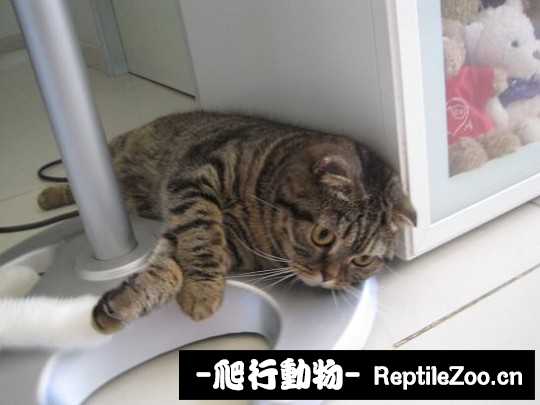 001803uwo3s9nnxjowowwb.jpg