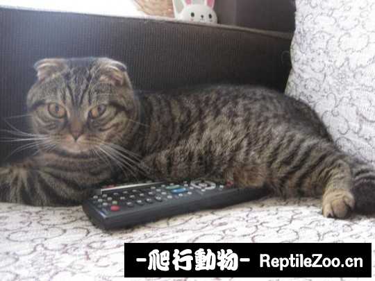 001804tz41hueegzuae8ee.jpg