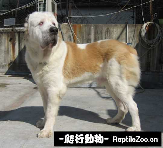 001822d1ebk35nag5hx0h4.jpg