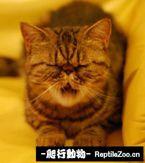 001839daz9enz5t254waty.jpg