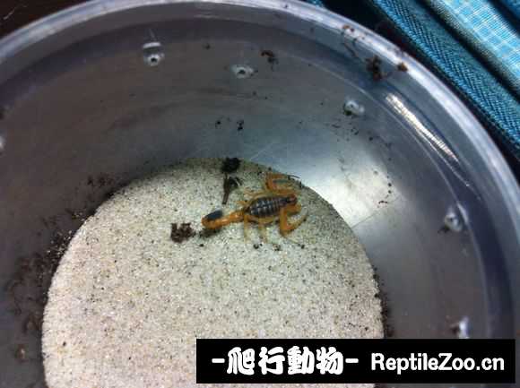 display_picture.php?url=http%3A%2F%2Fimgsa.baidu.com%2Fforum%2Fw%253D580%2Fsign%3Dcd45397b8882b9013dadc33b438ca97e%2F4180de039245d688d686a0f8a6c27d1ed31b2466.jpg