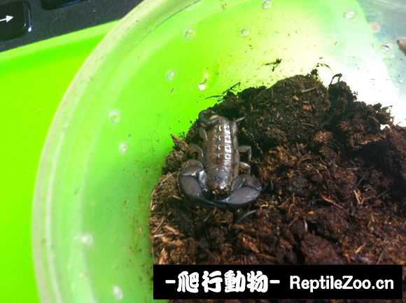 display_picture.php?url=http%3A%2F%2Fimgsa.baidu.com%2Fforum%2Fw%253D580%2Fsign%3D552683ae7f1ed21b79c92eed9d6fddae%2Fde1d16a85edf8db119a16e380b23dd54574e7458.jpg