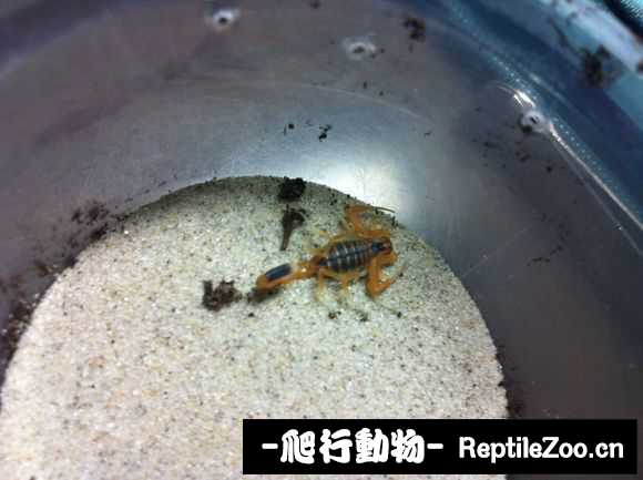 display_picture.php?url=http%3A%2F%2Fimgsa.baidu.com%2Fforum%2Fw%253D580%2Fsign%3D5df1f1e4d63f8794d3ff4826e21a0ead%2F6283bb25bc315c60fb1c79b38fb1cb134854775a.jpg