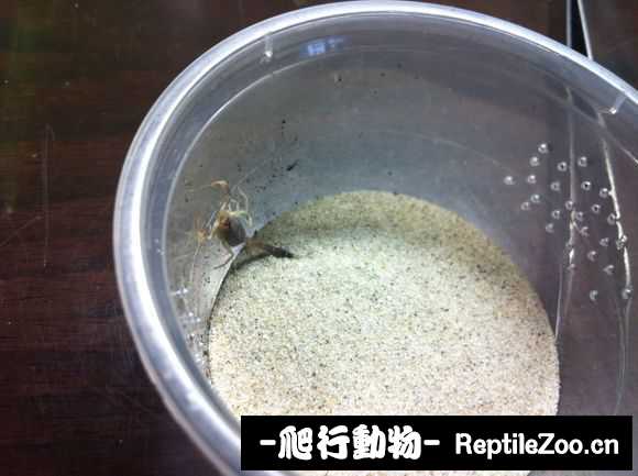 display_picture.php?url=http%3A%2F%2Fimgsa.baidu.com%2Fforum%2Fw%253D580%2Fsign%3D1566902941a98226b8c12b2fba83b97a%2Fc56d9b12c8fcc3ce3d5fdb6f9045d688d53f2048.jpg