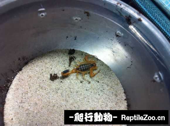 display_picture.php?url=http%3A%2F%2Fimgsa.baidu.com%2Fforum%2Fw%253D580%2Fsign%3Daab9fa38544e9258a63486e6ac83d1d1%2F23398f345982b2b773382b9833adcbef77099b40.jpg