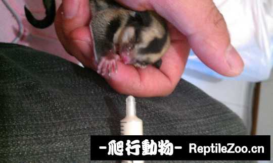 002537etwcc6tsiwetjopi.jpg