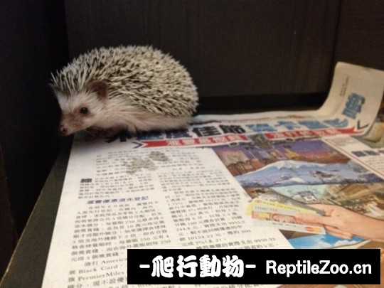 002541rlnqh8umyquoqq4y.jpg