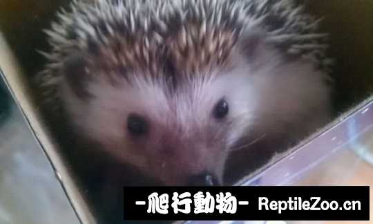 002549bgqptgpqg9zpjb4q.jpg