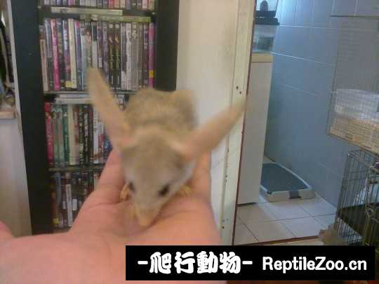002553p0pbmoa61cbfcmnp.jpg