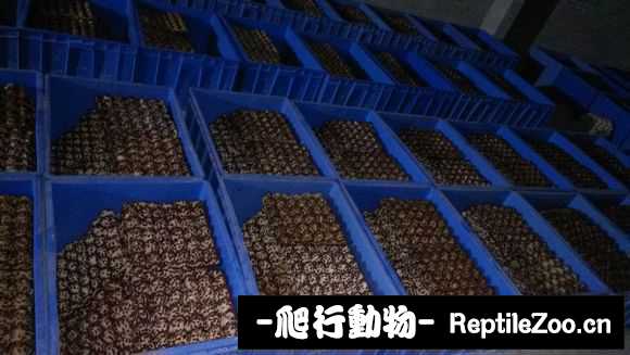 display_picture.php?url=http%3A%2F%2Fimgsa.baidu.com%2Fforum%2Fw%253D580%2Fsign%3Ddb8c930aba389b5038ffe05ab535e5f1%2F9831730fd9f9d72a8d049909d72a2834359bbbc4.jpg