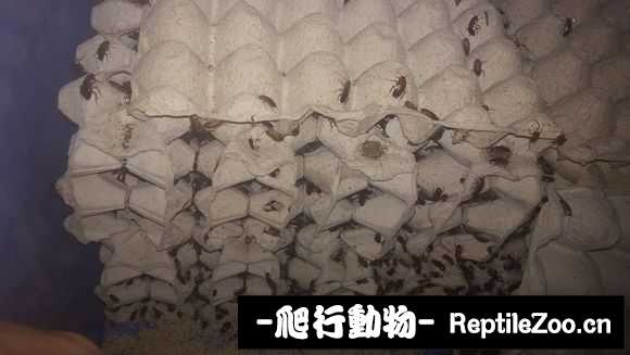 display_picture.php?url=http%3A%2F%2Fimgsa.baidu.com%2Fforum%2Fw%253D580%2Fsign%3Dd15c9d1bbb0e7bec23da03e91f2eb9fa%2F745949600c33874403a5a668520fd9f9d62aa0c4.jpg