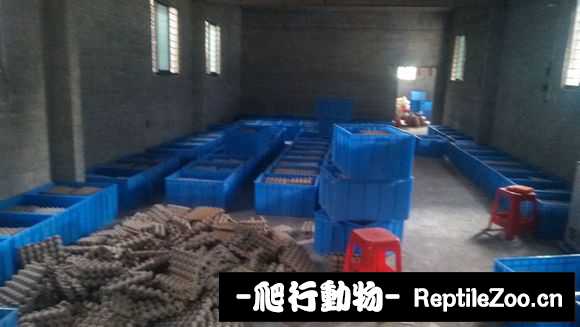 display_picture.php?url=http%3A%2F%2Fimgsa.baidu.com%2Fforum%2Fw%253D580%2Fsign%3D9984313402e9390156028d364bec54f9%2F70629c096b63f6248e3db0178444ebf81b4ca3c4.jpg