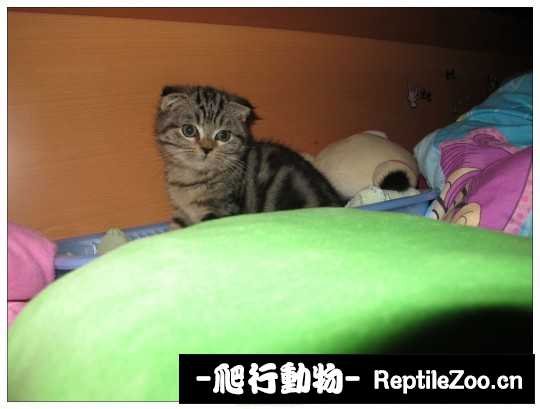 003053zmu8u8r2ffhuz8a2.jpg