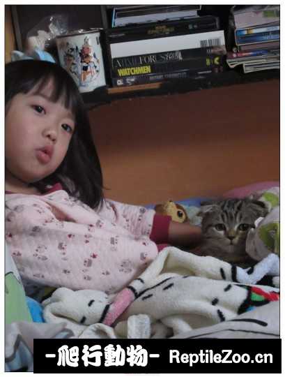 003055t9cx60x9y298gqm4.jpg