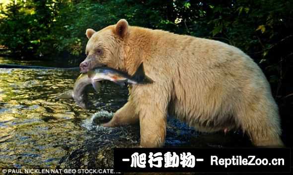 003116aqq4gwq7qrtntj1t.jpg