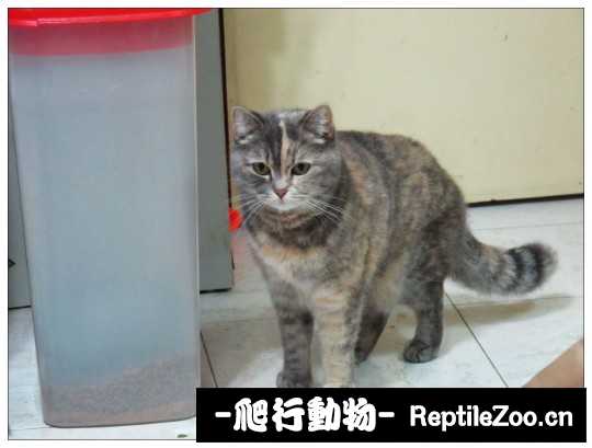 003152axurehzu5fm1urqi.jpg