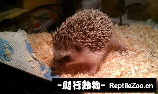 003156haibya0y58tzfjfa.jpg