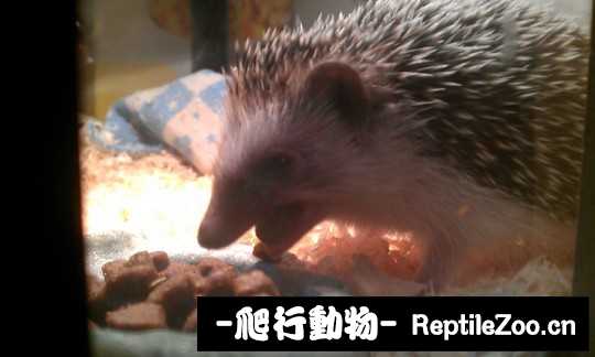 003157dzf0yvtnuans0005.jpg