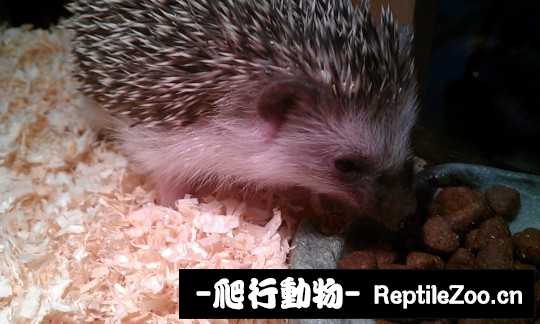 003157r4awwyqh2kkqimaw.jpg