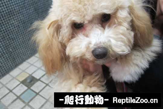 003226xxj99uway9p9wuyp.jpg