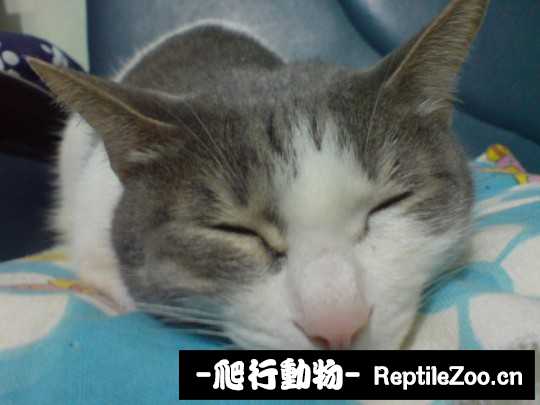 003256bxcy4ipzlpohdhr8.jpg