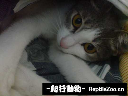 003256ujqql733ezlx8a8z.jpg