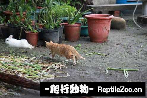 003341c3pzz9pcxmgg00s2.jpg