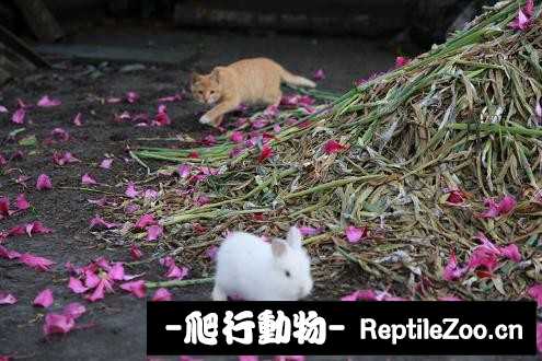 003342okmcmukkrnrcmkyn.jpg