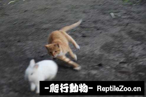 003344irz16r6hrdcdmrns.jpg
