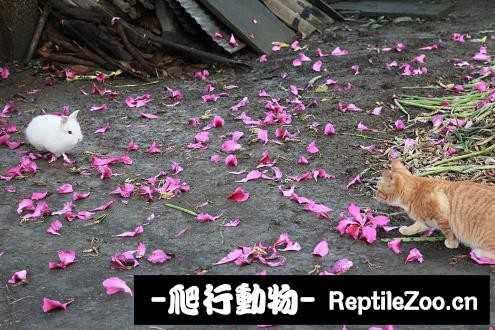 003345fttyljg2kbuga2wj.jpg