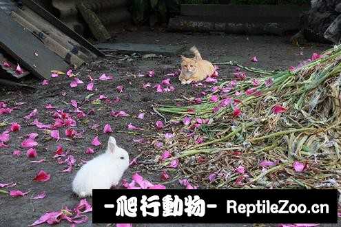 003347dqpfm3oz3i66mbt3.jpg
