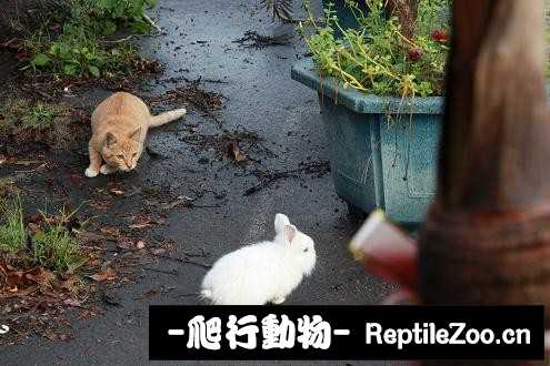 003348yzhcdsnhqhsfdmlh.jpg